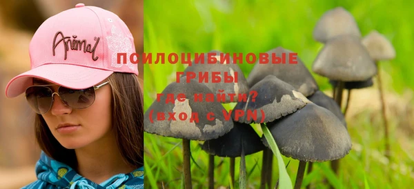 твердый Абинск