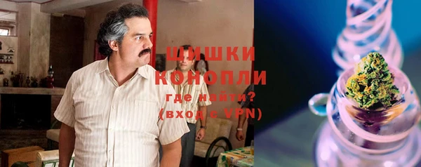 прущие грибы Абаза