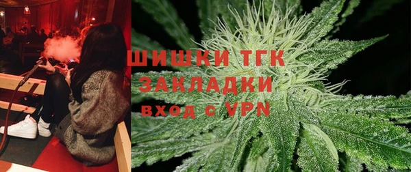 прущие грибы Абаза