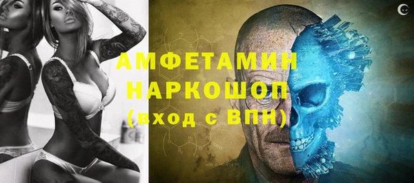 прущие грибы Абаза