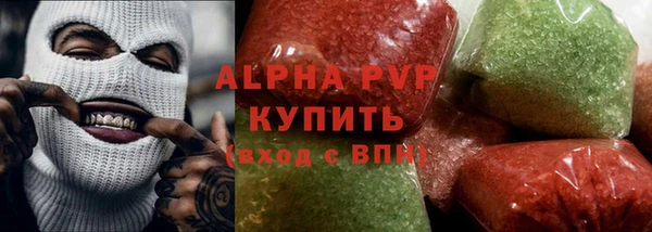 прущие грибы Абаза
