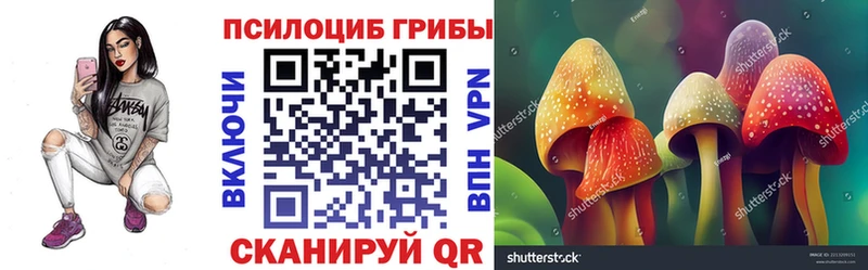 omg ссылки  Починок  Псилоцибиновые грибы MAGIC MUSHROOMS 